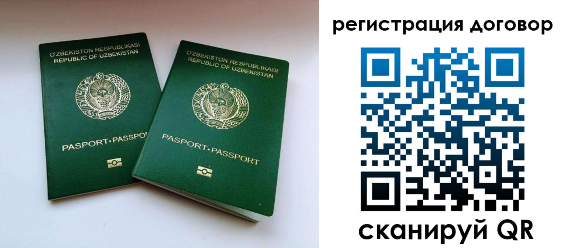 миграционный учет в Московской области